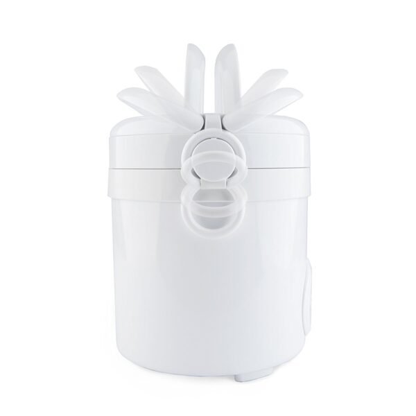 Aroma Mini Rice Cooker Review Digital Control and Compact Design Tested Aroma Mini Rice Cooker Review Digital Control and Compact Design Tested