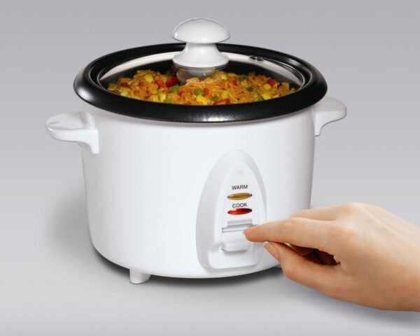 In-Depth Review of Hamilton Beach Rice Cooker 8 Cups Performance and Features