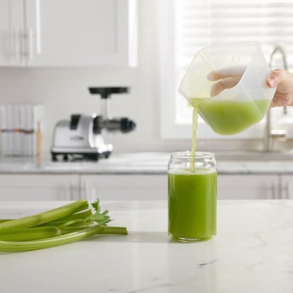In-Depth Review of Omega Masticating Juicer Best Cold Press Juicer for Celery