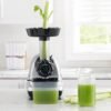 In-Depth Review of Omega Masticating Juicer Best Cold Press Juicer for Celery