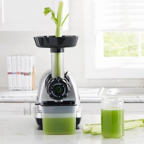 In-Depth Review of Omega Masticating Juicer Best Cold Press Juicer for Celery