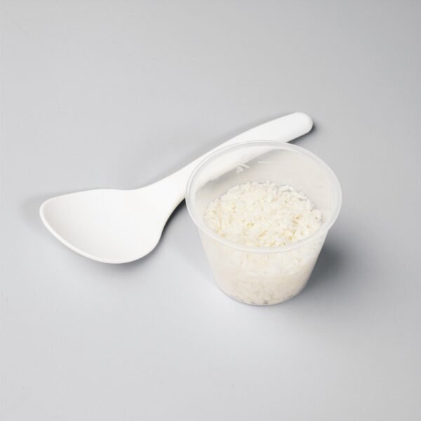 Proctor Silex 5 Cups Rice Cooker Review Automatic Keep Warm Feature Tested