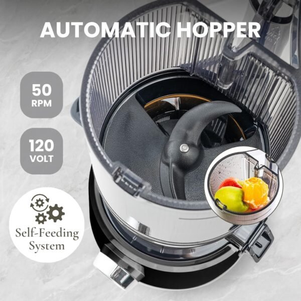 Sana 878 Juicer Review Effortless Cold Press Masticating Juicer for Fresh Juice