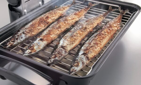 Zojirushi Fish Roaster EF-VPC40 Review Smoke Reduction and Crisp Cooking Features Explored